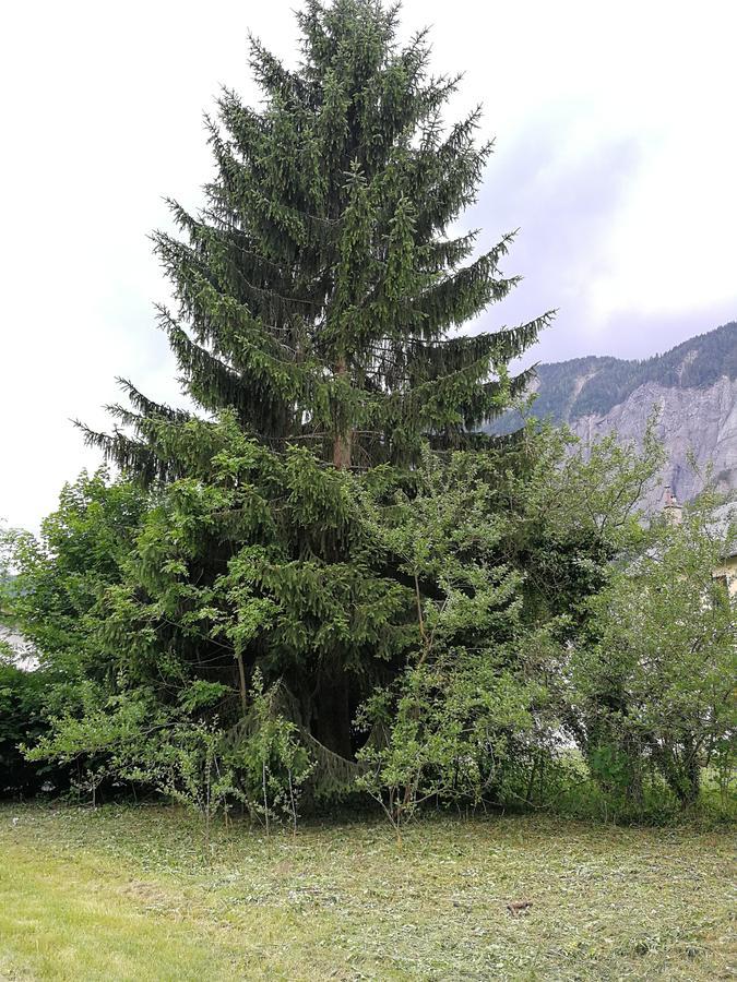 Sport'Hotel - Residence De Milan Le Bourg-dʼOisans Kültér fotó